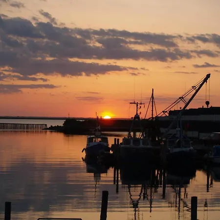 C11112-hemmet-horsfold-50 Hemmet